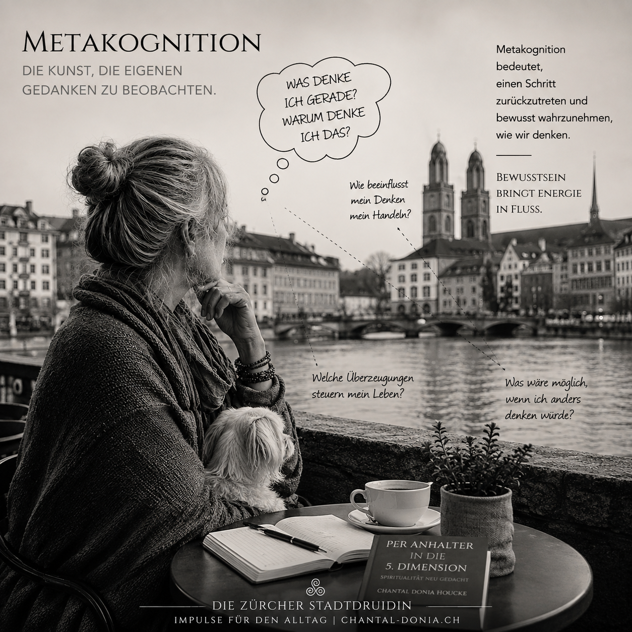 Metakognition